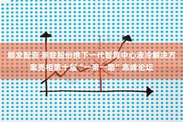 顺发配资 溯联股份携下一代智算中心液冷解决方案亮相第十届“一带一路”高峰论坛