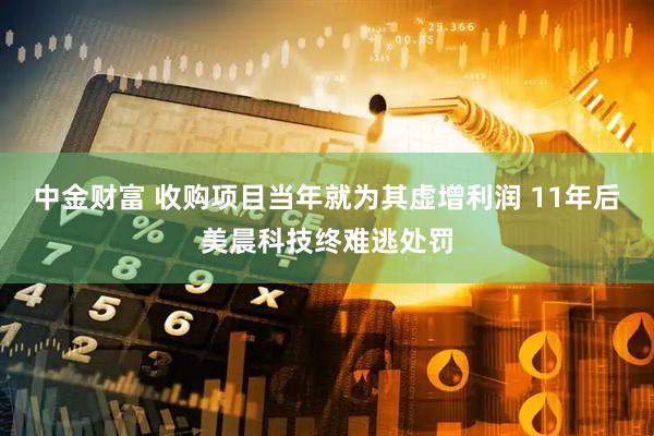 中金财富 收购项目当年就为其虚增利润 11年后美晨科技终难逃处罚