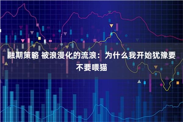 融期策略 被浪漫化的流浪：为什么我开始犹豫要不要喂猫
